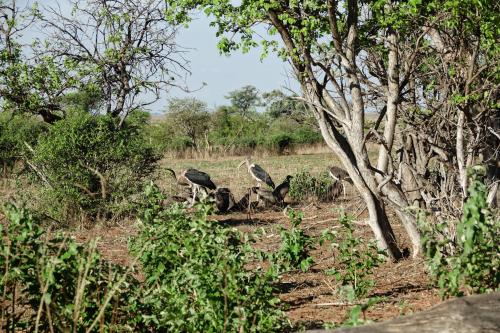 Ook dit hoort in een landschap: prooi 