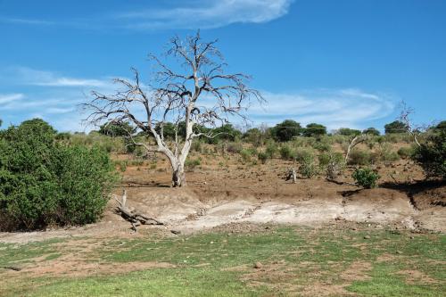 Landschap typisch voor het noorden 