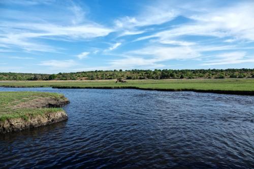 Chobe rivier bij Kasane