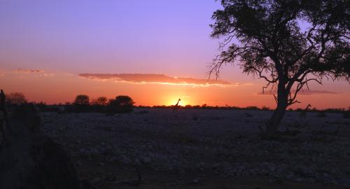 Zonsondergang bij Okaukuejo