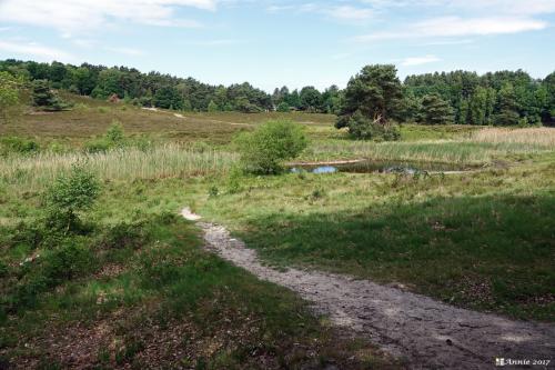 Brunssumse Heide