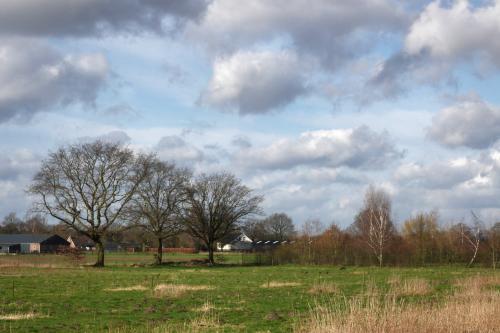 Dutch sky