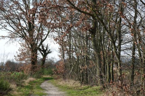 Landweggetje