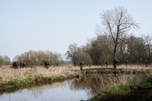 Kleine Dommel