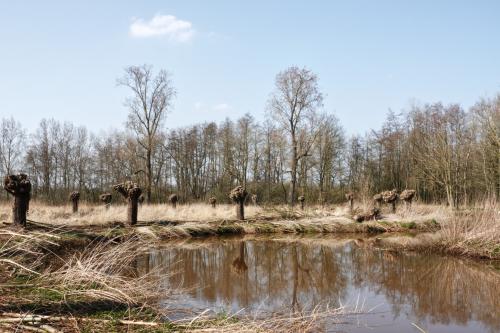 Kleine Dommel