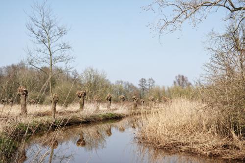 Kleine Dommel