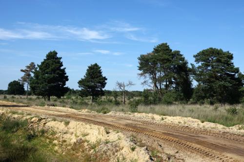 Nationaal Park De Groote Peel 