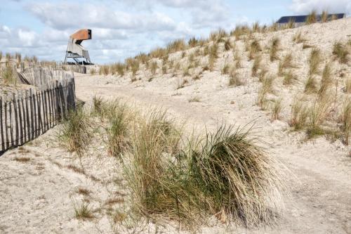 Marker Wadden