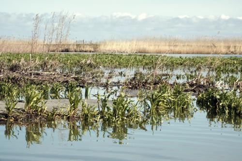 Marker Wadden