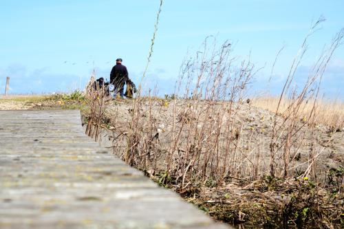 Marker Wadden