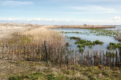 Marker Wadden