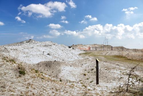 Marker Wadden