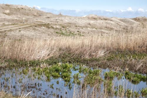 Marker Wadden