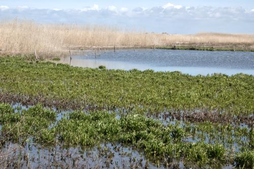 Marker Wadden