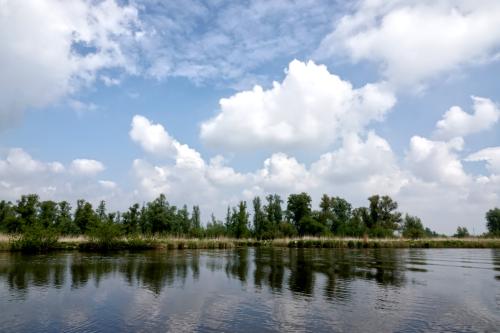 Biesbosch