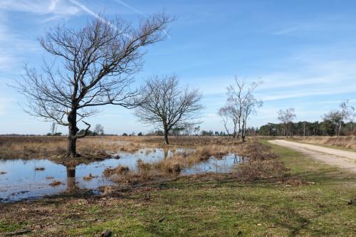 Strabrechtse Heide