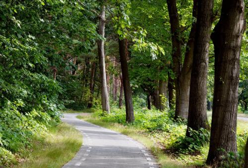 Middenpeelweg