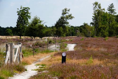 Strabrechtse heide