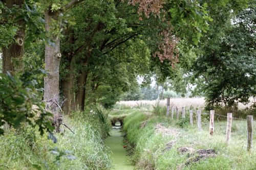 Collse watermolen