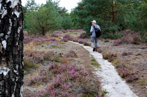 Wandelen in "De Hamert" 