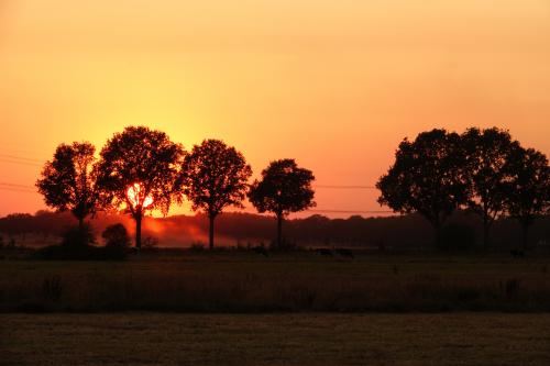 Zonsondergang 