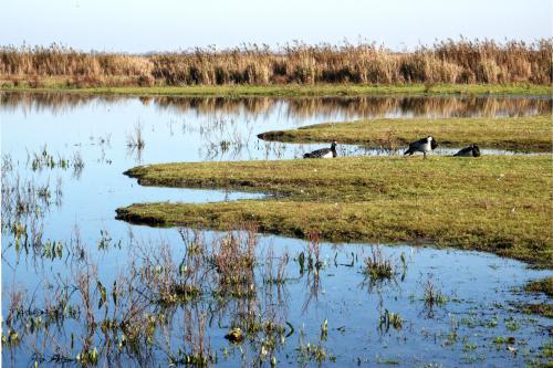 Lauwersmeer