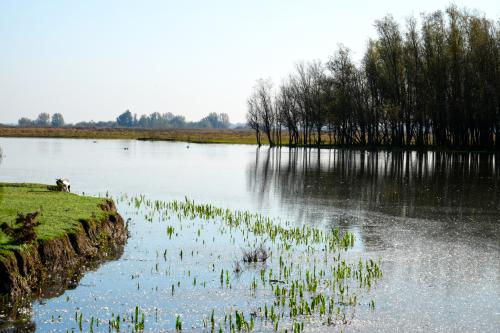 Lauwersmeer