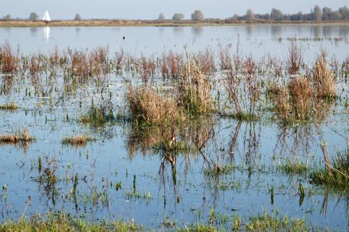  NP Lauwersmeer