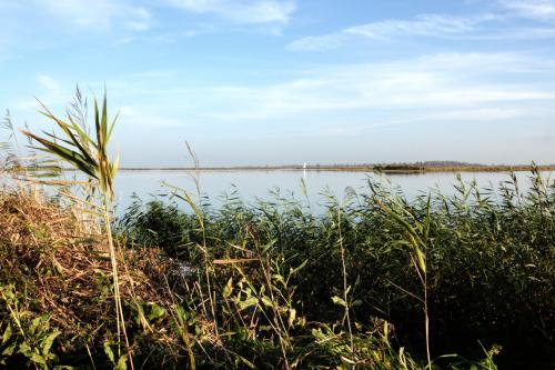 Lauwersmeer 