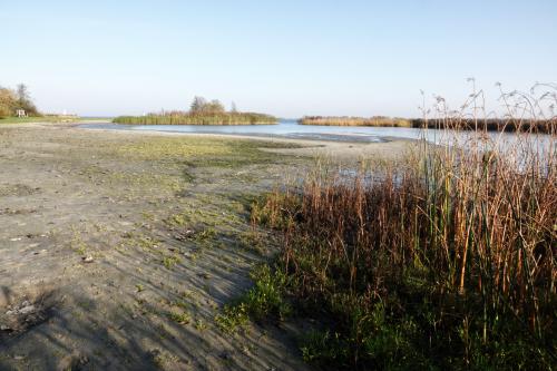 Strandje Oostmahorn 