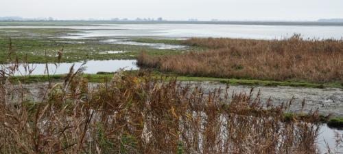 Lauwersmeer