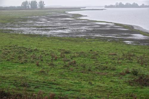 Lauwersmeer 