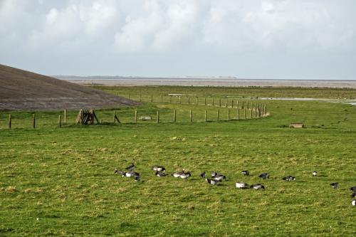  Aan de oevers van het Wad