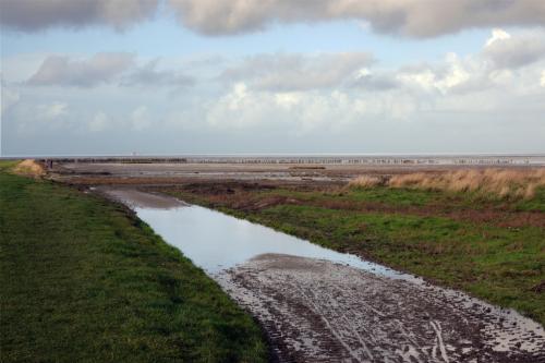 Waddenkust