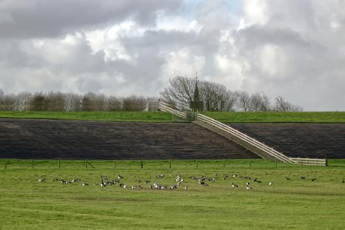 De dijk