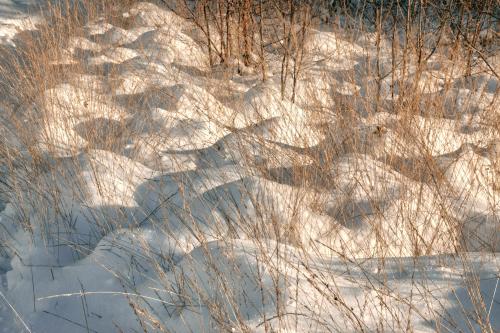 "Sneeuwduinen"