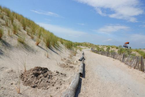 Marker Wadden