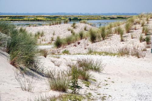 Marker Wadden