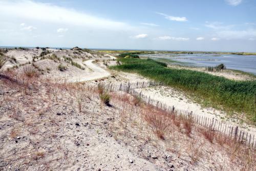 Marker Wadden