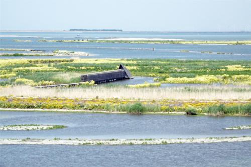 Marker Wadden