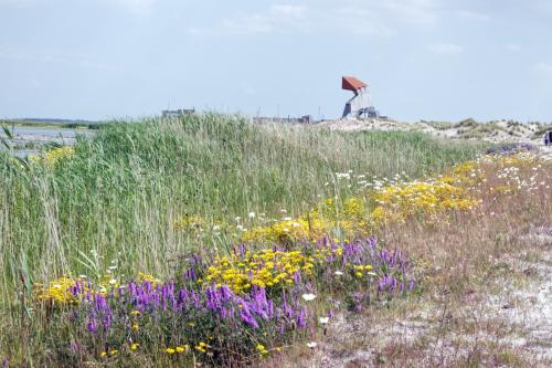 Marker Wadden 