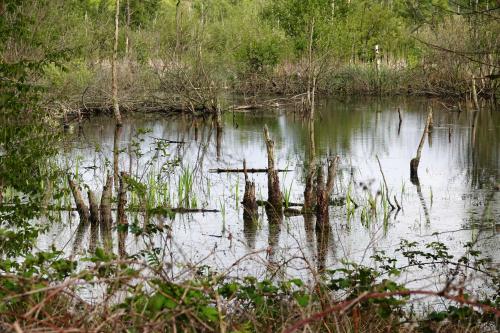  Deurnese Peel Halte Griendtsveen