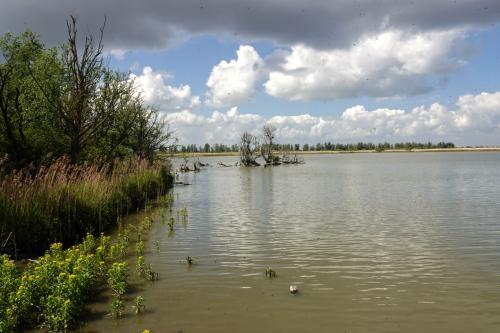 Oostvaardersplassen