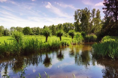 Collse watermolen  Nuenen