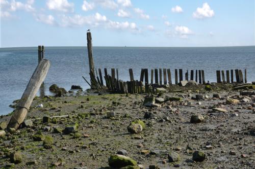 Kust achter de dijk