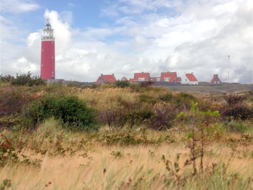 De vuurtoren in het landschap