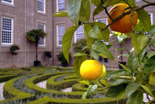 "Appeltjes van Oranje"