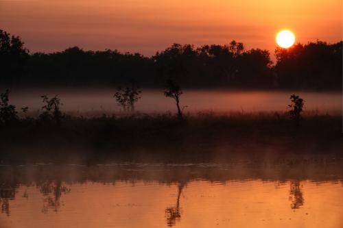 Misty morning