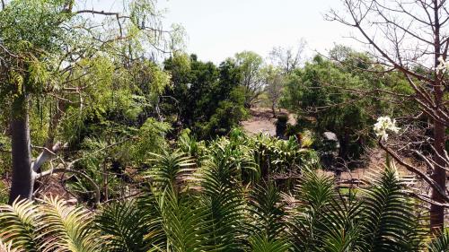 Botanical garden Darwin