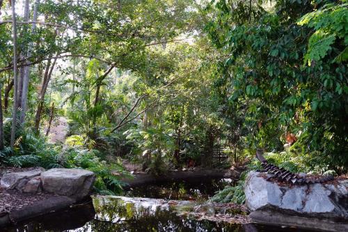 Boven waterval  Botanical gardens Darwin